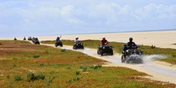 grupo de moto quad cerca de la playa de boa vista