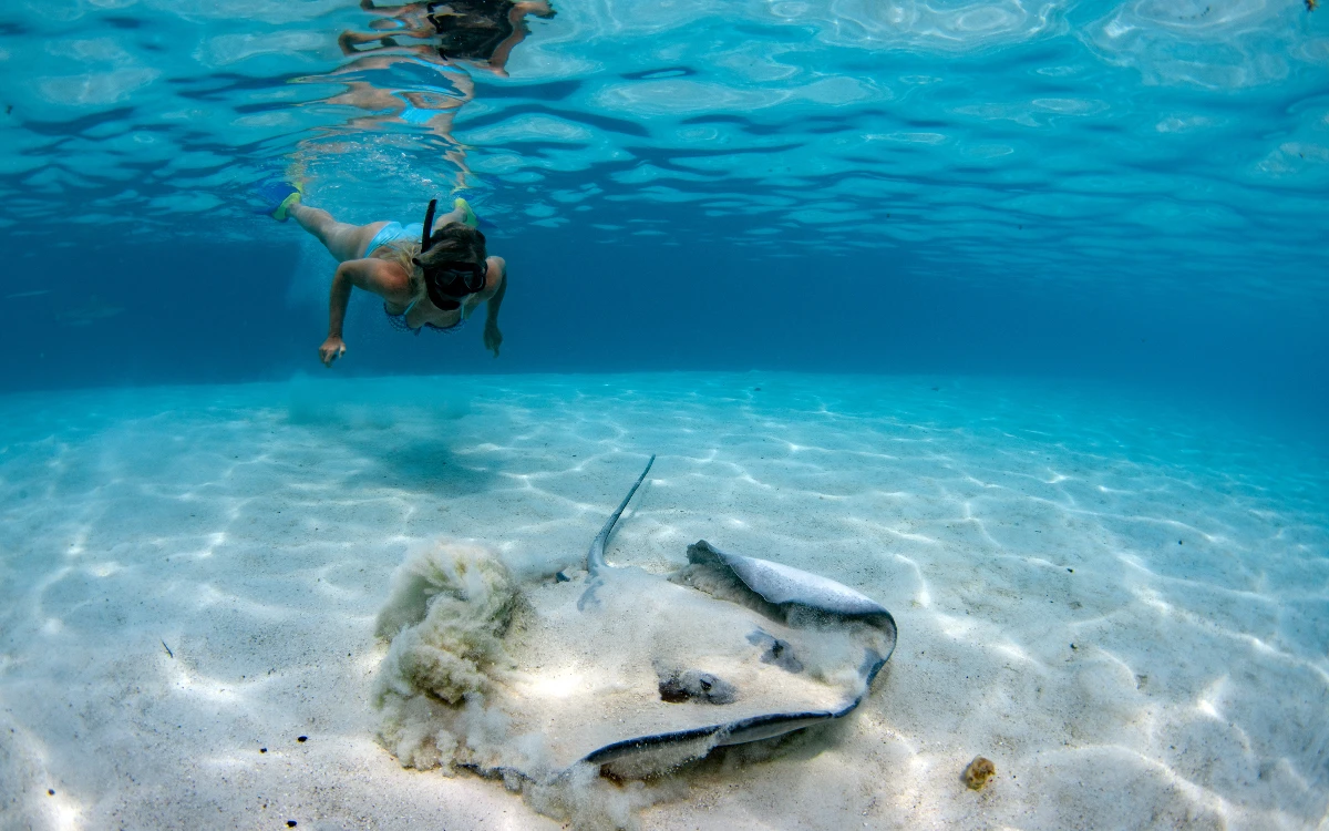 snorkeling