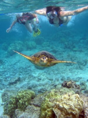 vive esta maravillosa aventura de snorkeling en Boa Vista Cabo Verde