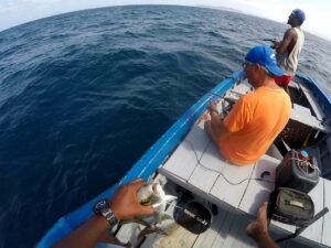 pesca en bote tradicional boa vista cabo verde 3