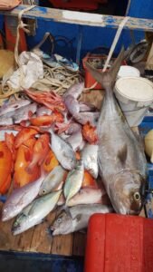peces pescados en boa vista cabo verde hora de hacer barbacoa con peces pescados en boa vista cabo verde