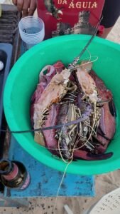 barbacoa en boa vista 2 chupate los dedos en nuestra barbacoa en boa vista