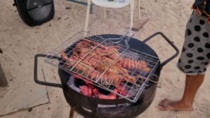 WhatsApp Image 2023-04-16 at 15.39.24 relajate y disfruta de barbacoa en boa vista