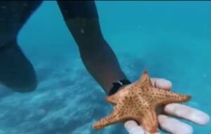 WhatsApp Image 2023-04-16 at 16.04.33 apasionante experiencia de excursion de pesca y snorkeling en cabo verde