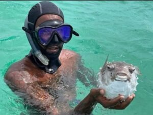 snorkeling boa vista disfruta snorkeling boa vista con nuestros guias esperimentados