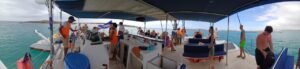 paseo en catamaran con chill out cabo verde-3