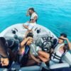 disfruta de esta magnifica aventura Snorkeling Isla de Sal