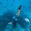 disfruta de esta magnifica aventura Snorkeling Isla de Sal
