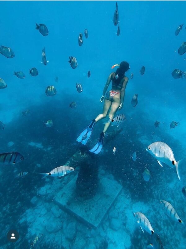 disfruta de esta magnifica aventura Snorkeling Isla de Sal